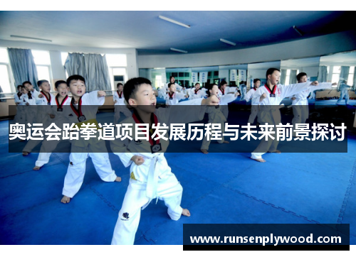 奥运会跆拳道项目发展历程与未来前景探讨